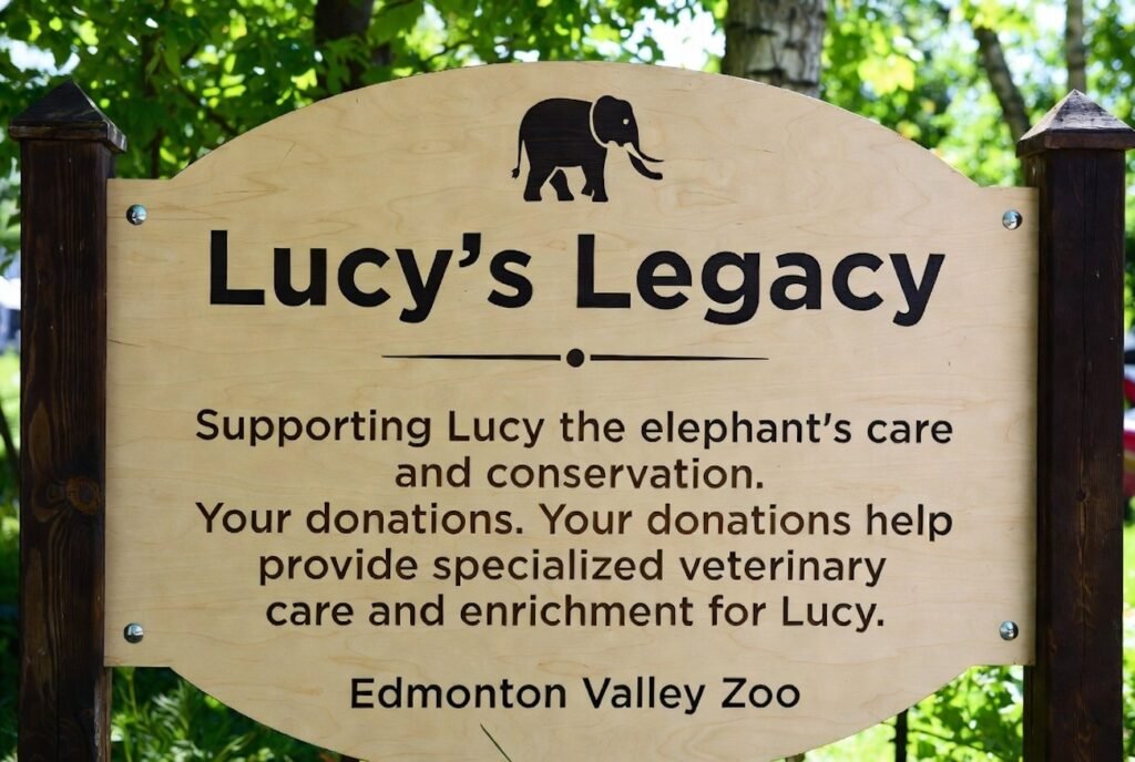 Lucy’s Legacy fund at Edmonton Valley Zoo