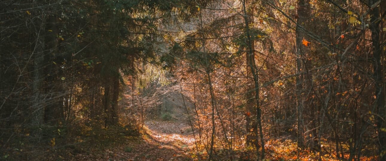 Turquoise waters of Lake Louise surrounded by mountain peaks in Banff National Park, Alberta