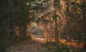 Turquoise waters of Lake Louise surrounded by mountain peaks in Banff National Park, Alberta