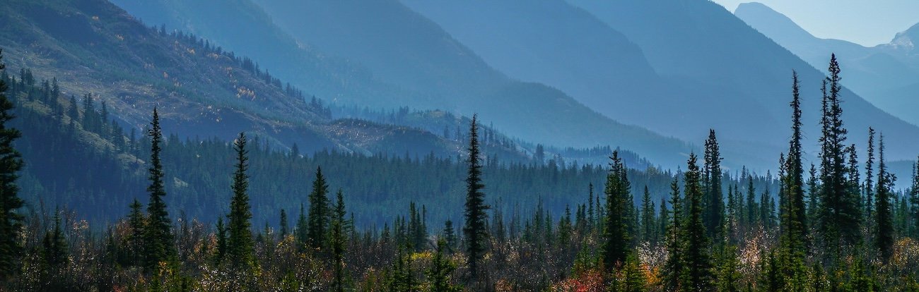 Panoramic alpine meadow view along the Skyline Trail in Jasper National Park, Alberta