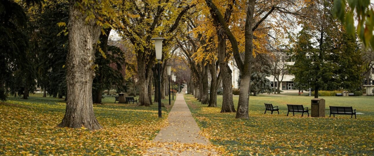 Best neighborhoods in Edmonton for families 2026 with playgrounds and modern homes in southwest Edmonton