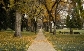 Best neighborhoods in Edmonton for families 2026 with playgrounds and modern homes in southwest Edmonton