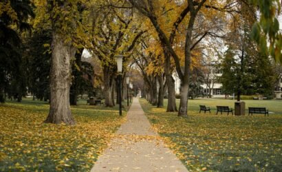 Best neighborhoods in Edmonton for families 2026 with playgrounds and modern homes in southwest Edmonton