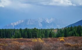 Moving to Alberta in 2026 – The Ultimate Newcomer Guide & Checklist