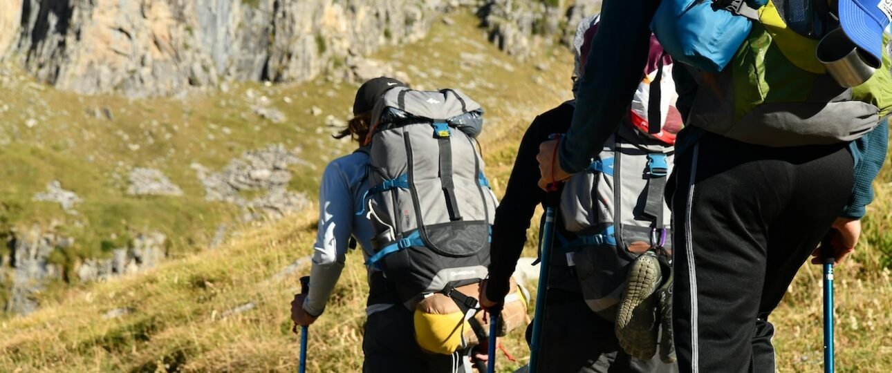 Wildlife Safety Tips for Hiking in Alberta