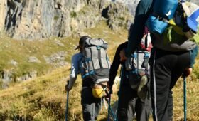 Wildlife Safety Tips for Hiking in Alberta