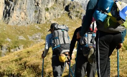 Wildlife Safety Tips for Hiking in Alberta