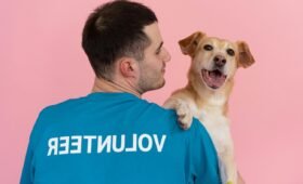 AARCS Calgary Safe Haven building at 5060 74 Avenue SE where animals are rescued and prepared for adoption in Alberta 2026