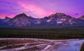 Alberta separatism reasons 2025 2026 referendum debate
