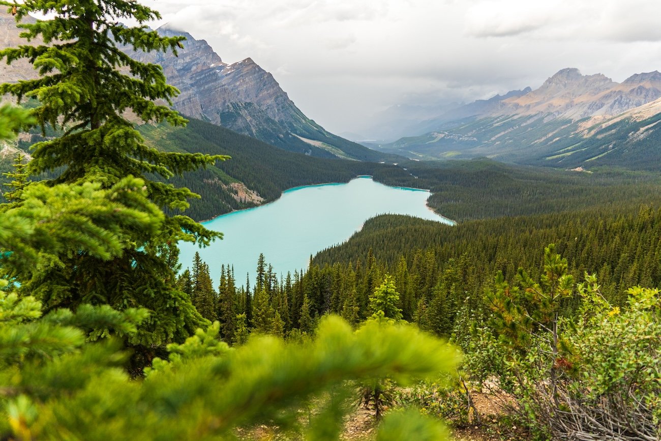 Peyto Lake viewpoint along the Icefields Parkway near Banff