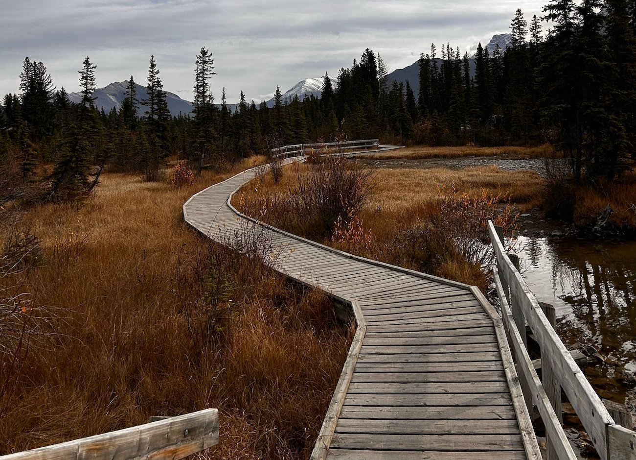 New boardwalk on the Valley of the Five Lakes Jasper trail through wetland area