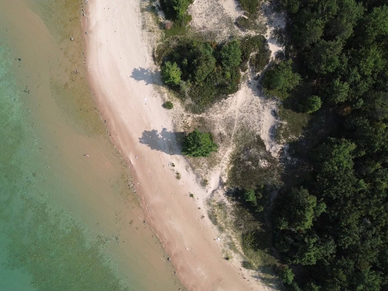 Small beach and picnic area at Wabasso Lake Jasper