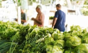 Innisfail Farmers Market vendors and fresh produce at the Royal Canadian Legion