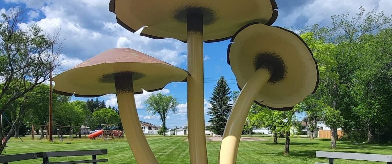 World’s largest mushrooms sculpture in Mushroom Park, Vilna Alberta