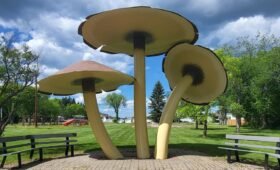 World’s largest mushrooms sculpture in Mushroom Park, Vilna Alberta